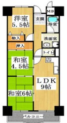 メゾンドール向陽の物件間取画像